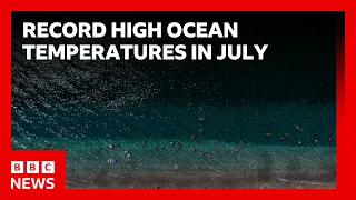 World's oceans hit record-high July temperatures, EU's climate monitoring service says | BBC News