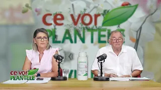 Cristina Ghibu and Horia Ghibu - How do we remove old grapevines from the garden?