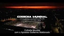 Colheita Mundial Espanha, Valência - 2025 | Testemunhos | Guillermo Maldonado