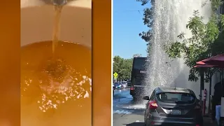 St. Helena residents still dealing with brown tap water after bus hits fire hydrant