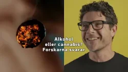 Alkohol eller cannabis? Forskarna svarar | Så knarkar Sverige |  SVT