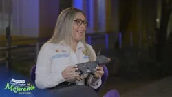 #Santandervamejorando | Gestión desde la Secretaría TIC #Santandervamejorando | Gestión desde la Secretaría TIC