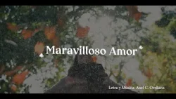 PISTA  MARAVILLOSO AMOR