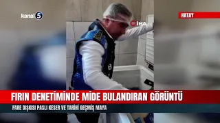 Disgusting Scenes During Bakery Inspection! Rat Droppings, Rusted Cutters, and Expired Yeast