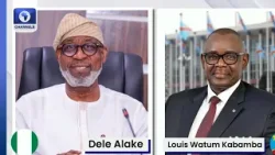 Dele Alake Re-Elected Chairman, African Minerals Strategy Group