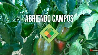 Opening Fields - August 13, 2026 - Part 2