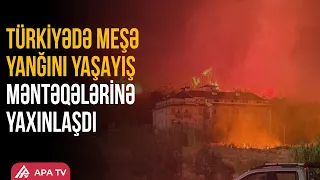 Türkiyədə yanğın evlərə yaxınlaşdı: Sakinlər təxliyə olunur | APA TV