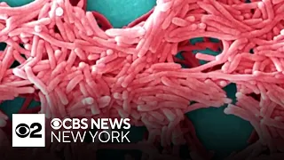 NYC Council tohold hearing on new plan to combat Legionnaires' disease