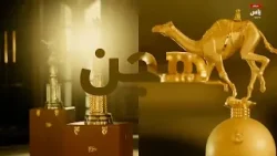 حلقة هنا الوثبة - 28 فبراير 2026 حلقة هنا الوثبة - 28 فبراير 2026