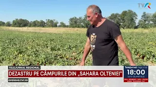 DISASTER IN THE FIELDS OF THE "SAHARA OF OLTENIA"