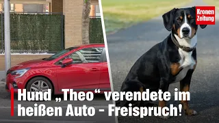 Dog "Theo" died in hot car – Acquittal! | krone.tv NEWS
