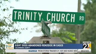 Eight dogs abandoned roadside in cages