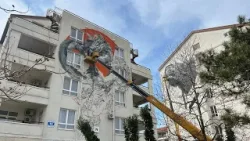 Старт Всемирного фестиваля молодежи, стрельба в центре города и другие новости Краснодара 1 марта