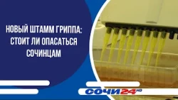 New Flu Strain: Should Residents of Sochi Be Concerned?