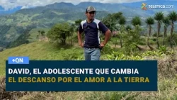 David, the teenager who trades rest for a love of the land