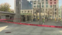 CTA janitor killed in stabbing at Damen Green Line station