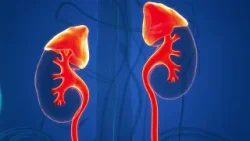 Cifras de insuficiencia renal