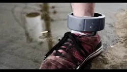 Diputados eliminan arresto domiciliario para delitos cometidos con armas Diputados eliminan arresto domiciliario para delitos cometidos con armas