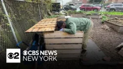 Queens gardener hopes to build a greener NYC after incarceration