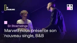 En Stoemelings - Marvett