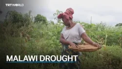 Malawi seeks $200M food aid to mitigate impact of El Nino
