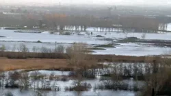 El río Jarama se desborda y crea una marisma entre Titulcia y Ciempozuelos