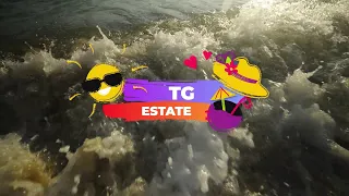 TG Estate del 10/08/2026