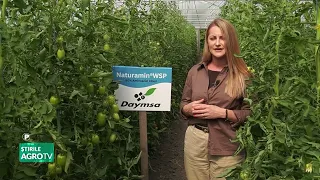 Daymsa technology for high-performance horticulture 07/30/2026