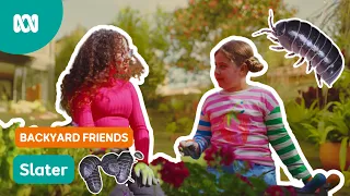 This is related to a PRAWN??! | Gardening Australia Junior | ABC Kids
