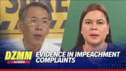 Chel Diokno looking forward to evidence in VP Sara impeachment | ABS-CBN News