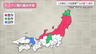 この秋どこでクマ出没増？ドングリの実りに“ある傾向” 凶作で高まる警戒【サタデーステーション】(2026年9月19日)
