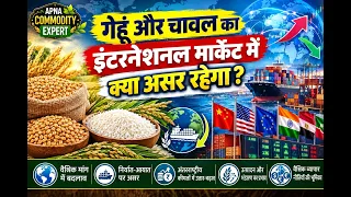 Apna Commodity Expert