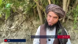 د ننګرهار په خوګیاڼو ولسوالۍ کې د قومي مشرانو، دیني عالمانو او سیمه‌ییزو چارواکو په منځګړیتوب د دوو