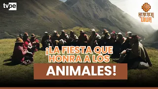 SANTOS SENALAY: la ancestral ceremonia que honra y protege a los animales en Hatun Q’ero