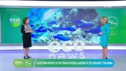 Δ. Αυγερινοπούλου - Our Ocean Conference 2024 στην Αθήνα | ECO NEWS BY ΔΕΗ | 28/03/2024