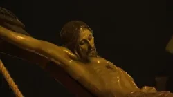 CRISTO REY Y VIRGEN DE LA AMARGURA 2026