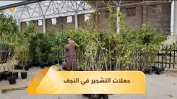 #Najaf.. Afforestation campaigns continue to enhance green cover and combat rising temperatures a...