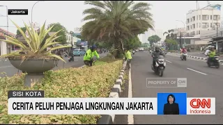 Sisi Kota: Peran Pasukan Hijau Menjaga Ruang Terbuka Jakarta