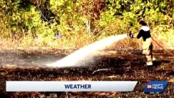 Wildfires are keeping Mississippi forestry crews busy