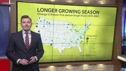 How the pollen season has changed with a warming climate | Climate Matters