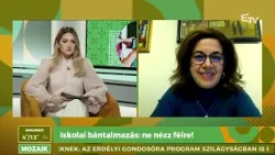 Iskolai bántalmazás: ne nézz félre! – Mozaik