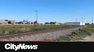 Body of missing 11-year-old Calgary boy believed to be found: CPS