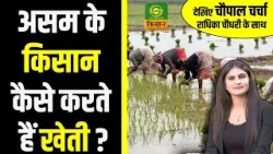 Chaupal Charcha | असम के किसान कैसे करते हैं खेती ? | Assam | Farmer | Radhika Choudhary | DD Kisan
