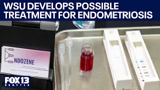 WSU develops possible treatment for endometriosis | FOX 13 Seattle