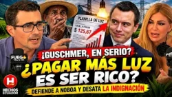 EL CAMPO ES RICO PORQUE PAGA MÁS LUZ? La insólita teoría d Andrés Guschmer que desata la furia rural