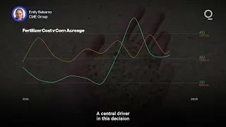 USDA Acreage Report Set to Move Grain Markets | Presented by CME Group