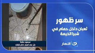 The Mystery of the Snake Found in a Bathroom in Shubra El Kheima... You Won't Believe the Reason