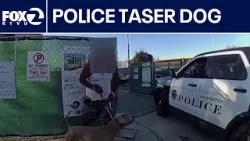 Richmond police defend tasing dog during arrest | KTVU