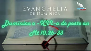 SUNDAY GOSPEL - 12th Sunday in Ordinary Time
