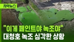 [Subtitled News] "Is this paint or algae?", Serious algae bloom at Daecheong Lake / KBS 10.31.2026.